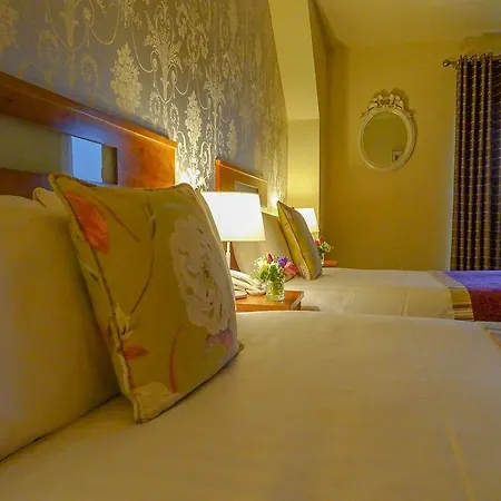 Hotel Raheen Woods 4*