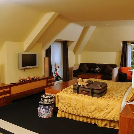 Hotel Raheen Woods 4*